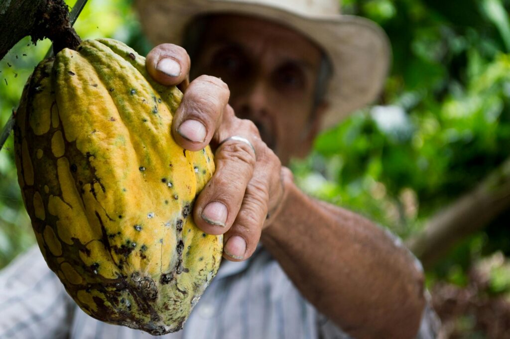 single origin ceremonial cacao